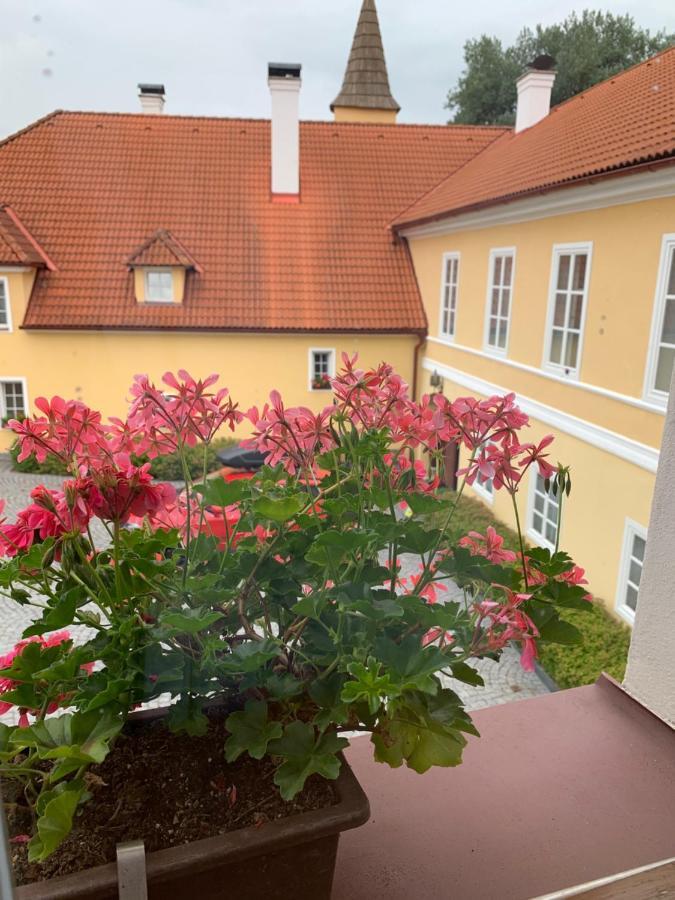 Kolinec Zamek Jindrichovice酒店 外观 照片